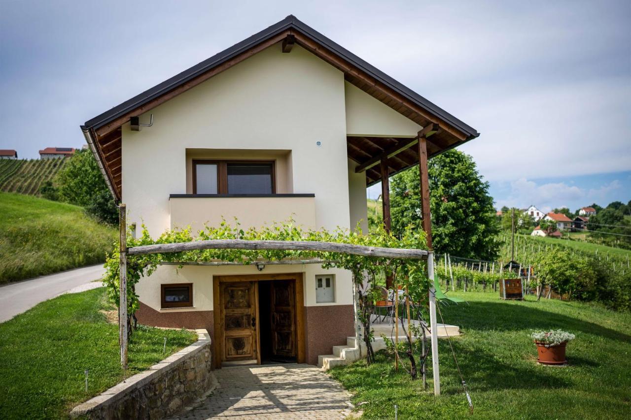 Holiday House Zlacka Gorca Pristava pri Mestinju 外观 照片