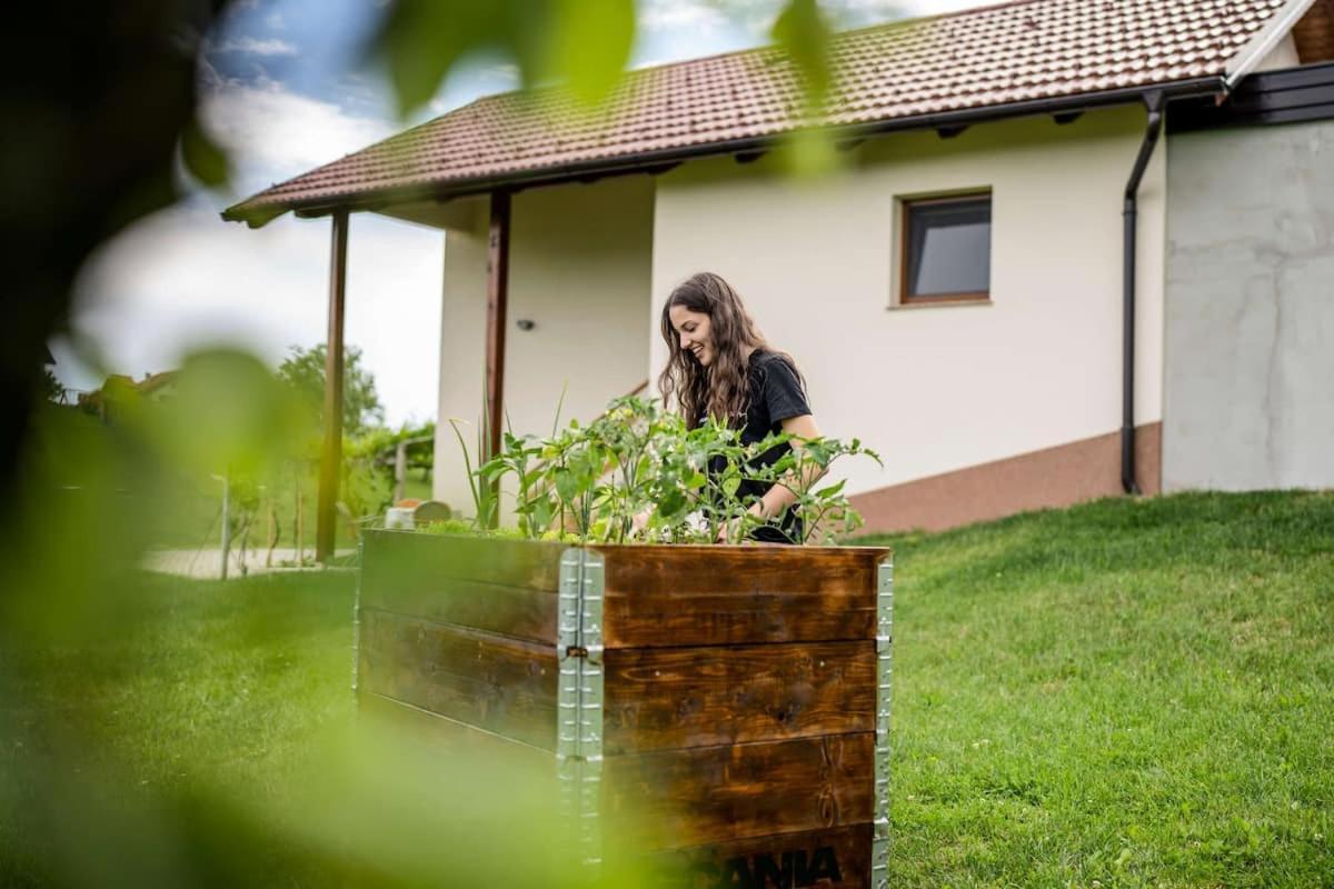 Holiday House Zlacka Gorca Pristava pri Mestinju 外观 照片